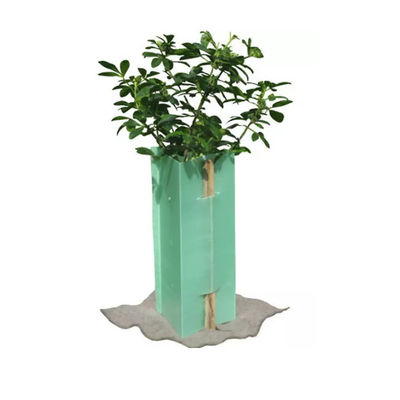 Triangle คอร์ฟลูต Tree Guards Bunnings 5mm คอโรพลาสต์ Plastic Tree Protectors