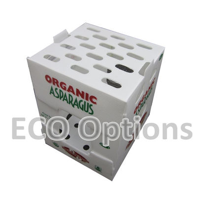 การรีไซเคิล PP กระปุกกล่องพลาสติก กระปุกกล่องบรรจุคอร์โพแลสต์ ECO ที่พับได้ตามความต้องการ