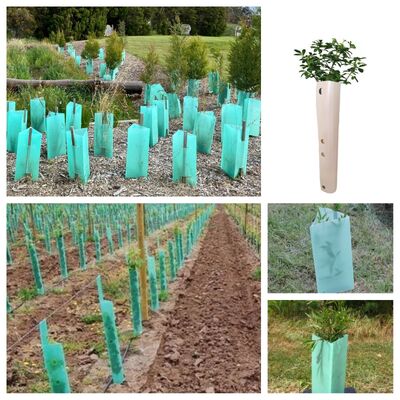 Our customizable tree guards help protect young seedlings as they grow, with flexible size and shape options to suit different planting needs.