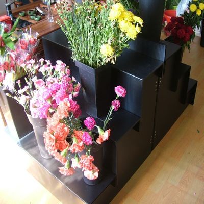 Black 5mm Corflute Fresh Flower Display Stand For Home Garden