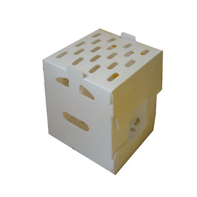 Coroplast Pomegranate Packaging Box Mango Packing Boxes For Export
