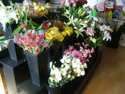 10mm Corflute Wedding Flower Display Stands Chemical Resistant