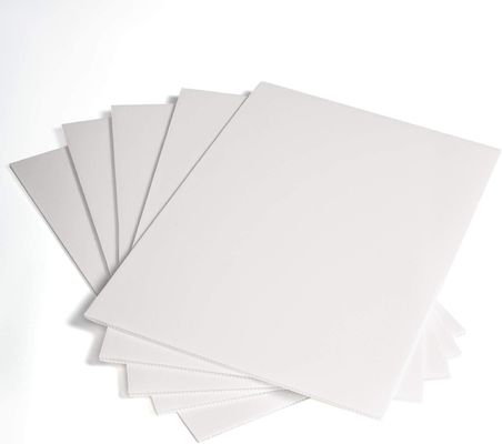 Polypropylene Corflute Sheet Corrugated Plastic Sheet Customized Recycled Rigid