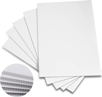 Polypropylene Corflute Sheet Corrugated Plastic Sheet Customized Recycled Rigid