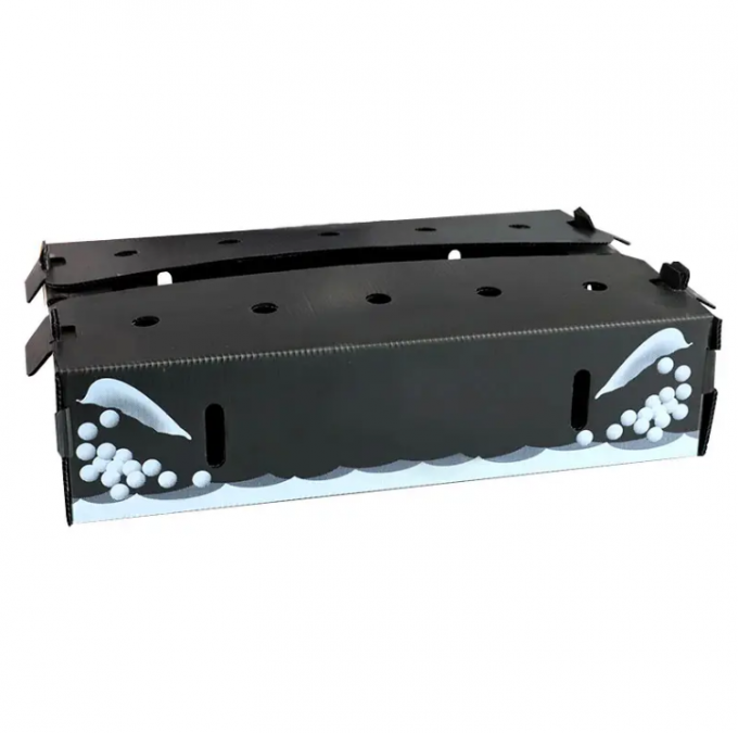 PP Fruit Packaging Box การหมุนเวียน OEM ODM Printable Corrugated Plastic Waterproof 0