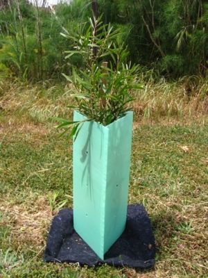PP ลูกฟูกพลาสติกป้องกันต้นไม้ คอร์ฟลูต Sustainable Tree Guards