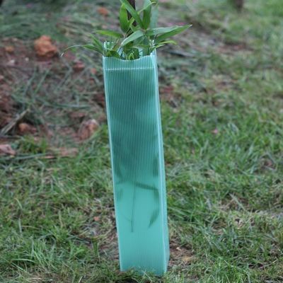 คอร์ฟลูต Corrugated Plastic Tree Wraps พลาสติกแข็งสำหรับปลูกต้นไม้ 2 มม