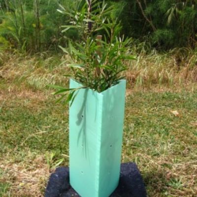 คอร์ฟลูต Corrugated Plastic Tree Wraps พลาสติกแข็งสำหรับปลูกต้นไม้ 2 มม