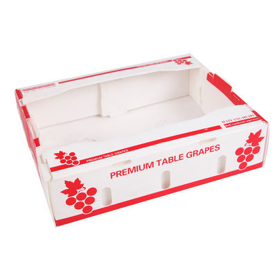 Anticorrosive Corrugated Plastic Boxing Boxes คอโรพลาสต์ Shipping Boxes