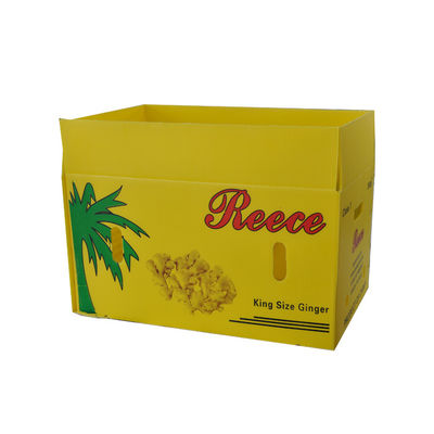 Anticorrosive Corrugated Plastic Boxing Boxes คอโรพลาสต์ Shipping Boxes