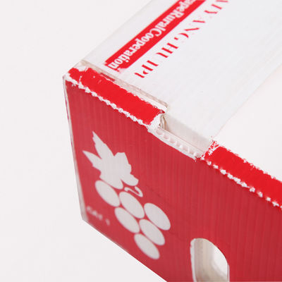 คอร์ฟลูต Fresh Produce กล่องกระดาษแข็ง คอโรพลาสต์ Kiwi Fruit Packing Box
