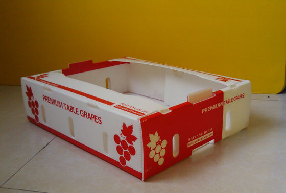 คอร์ฟลูต Fresh Produce กล่องกระดาษแข็ง คอโรพลาสต์ Kiwi Fruit Packing Box