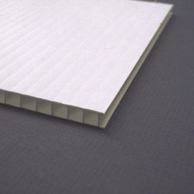 Twin Wall Clear คอโรพลาสต์ 4x8 แผ่นใส คอโรพลาสต์ พลาสติกกลวง
