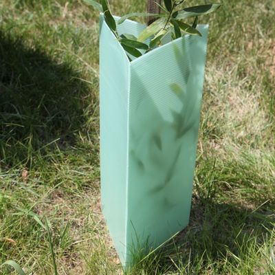 การ์ดต้นไม้พลาสติกลูกฟูกสามเหลี่ยม 2mm คอร์ฟลูต Plant Guards
