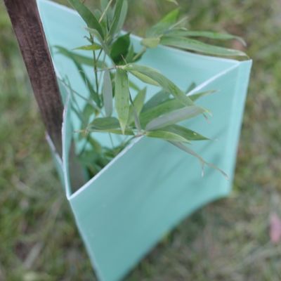 2mm คอร์ฟลูต Corrugated Tree Guards สามเหลี่ยมพลาสติกป้องกันลำต้นของต้นไม้
