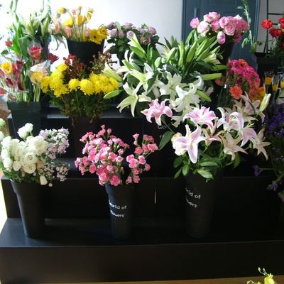 สี่เหลี่ยมผืนผ้า คอโรพลาสต์ Flower Shop Display Stand 3 ชั้นทนต่อสภาพอากาศ