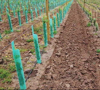 คอร์ฟลูต Tree Guards การ์ดป้องกันต้นไม้โพลีโพรพีลีน 3 มม