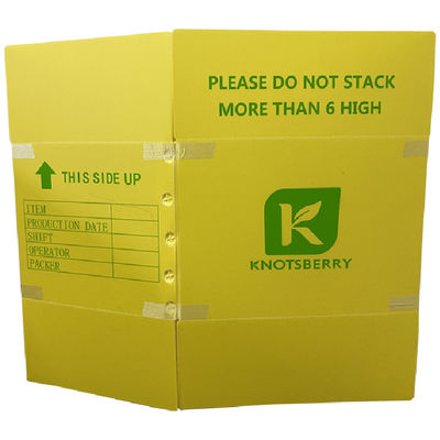 กล่องบรรจุพลาสติกแบบกระบวนการที่ออกแบบให้กับสาธารณะและพาณิชย์ เพื่อให้เกิดผลงานในระบบจัดการขยะ