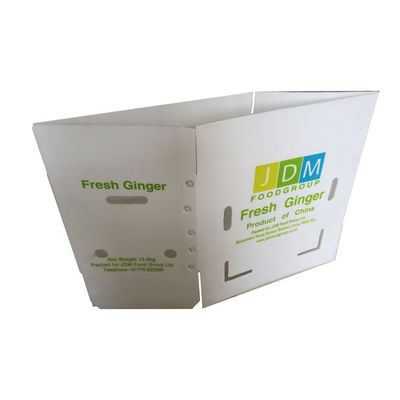 Twinwall PP Fluted Polypropylene Coroplast Box ปรับแต่งได้