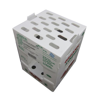 กล่องเก็บของพลาสติกลูกฟูก PP Coropast กล่องบรรจุแข็งน้ำหนักเบา
