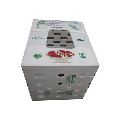 กล่องเก็บของพลาสติกลูกฟูก PP Coropast กล่องบรรจุแข็งน้ำหนักเบา