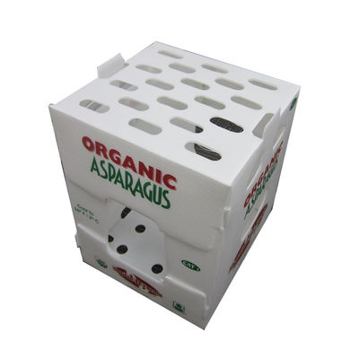 กล่องบรรจุผักพอลิโปรพีเลน PP กล่องพลาสติก corrugated ปรับแต่ง