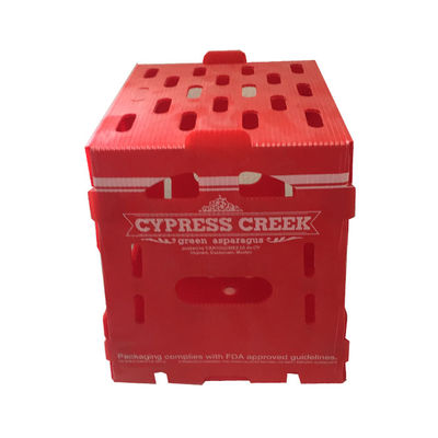 กล่องบรรจุผลไม้จากพลาสติก PP Corrugated กล่อง Coroplast ที่กําหนดเอง สามารถรีไซเคิลได้