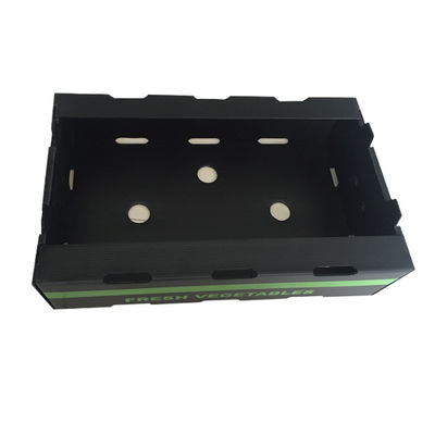 กล่องบรรจุผลไม้จากพลาสติก PP Corrugated กล่อง Coroplast ที่กําหนดเอง สามารถรีไซเคิลได้