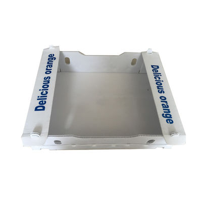 กล่องบรรจุผลไม้จากพลาสติก PP Corrugated กล่อง Coroplast ที่กําหนดเอง สามารถรีไซเคิลได้