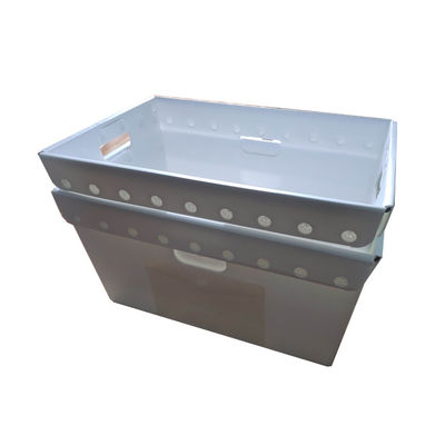 PP โครงการพลาสติก corrugated โครงการพิมพ์พิมพ์พิมพ์พิมพ์