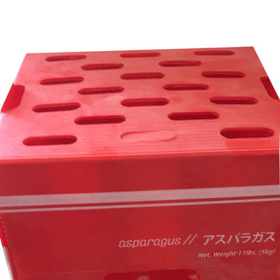 กล่องบรรจุพืชพอลิโปรพีเลน PP กล่องพลาสติก corrugated
