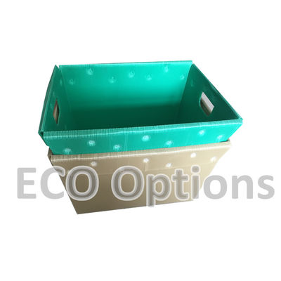 การรีไซเคิล PP กระปุกกล่องพลาสติก กระปุกกล่องบรรจุคอร์โพแลสต์ ECO ที่พับได้ตามความต้องการ