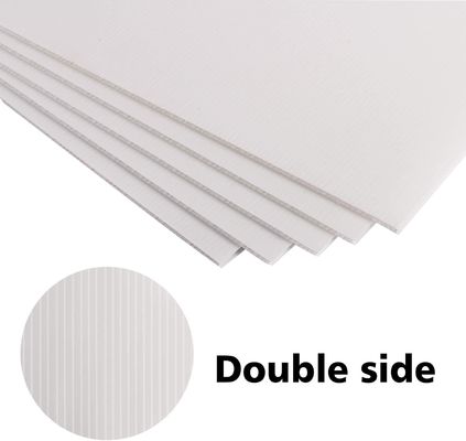 ปลดปล่อยศักยภาพของแผ่น PP Coroplast ในบรรจุภัณฑ์และการโฆษณาของคุณ