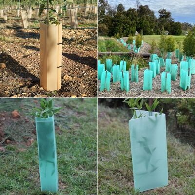 PP plastic vine guard – Durable PP plant protection tube designed to shield young vines from wind, pests, and physical damage while promoting healthy growth in agricultural and forestry applications.
